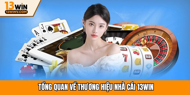 Tổng quan về thương hiệu nhà cái 13win
